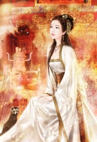 三國之席捲天下